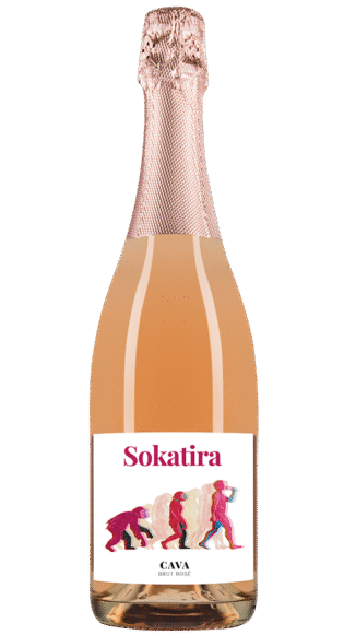 CAVA Rose